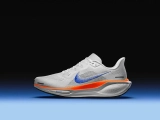 Nike Air Pegasus 41 és Nike Pegasus Premium